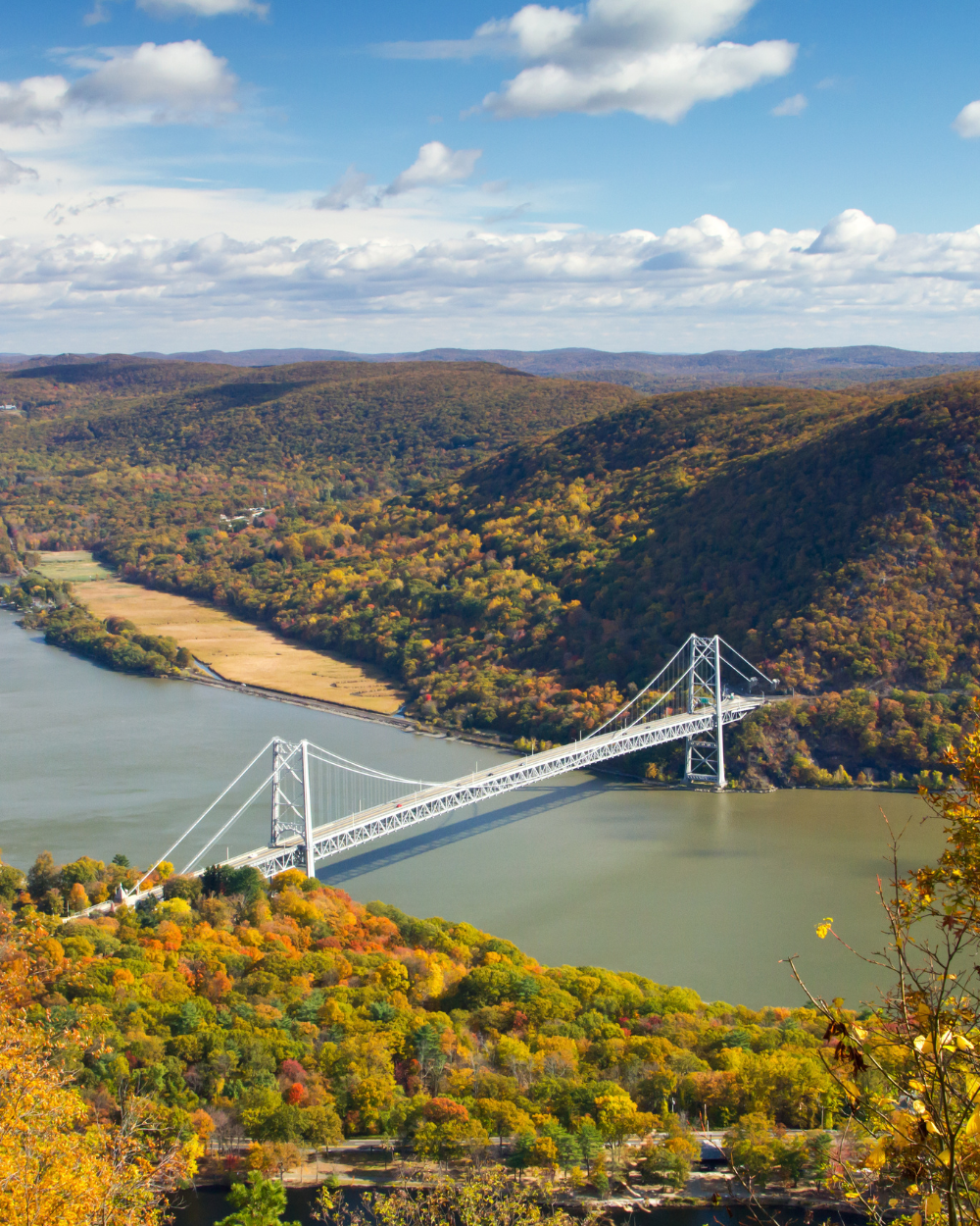 3 Mutual Home Health Aide Care Service in New York - Revision